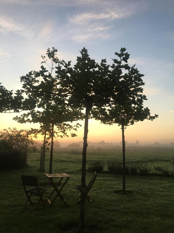 The Cat And The Owl B&B Groenlo Eksteriør billede